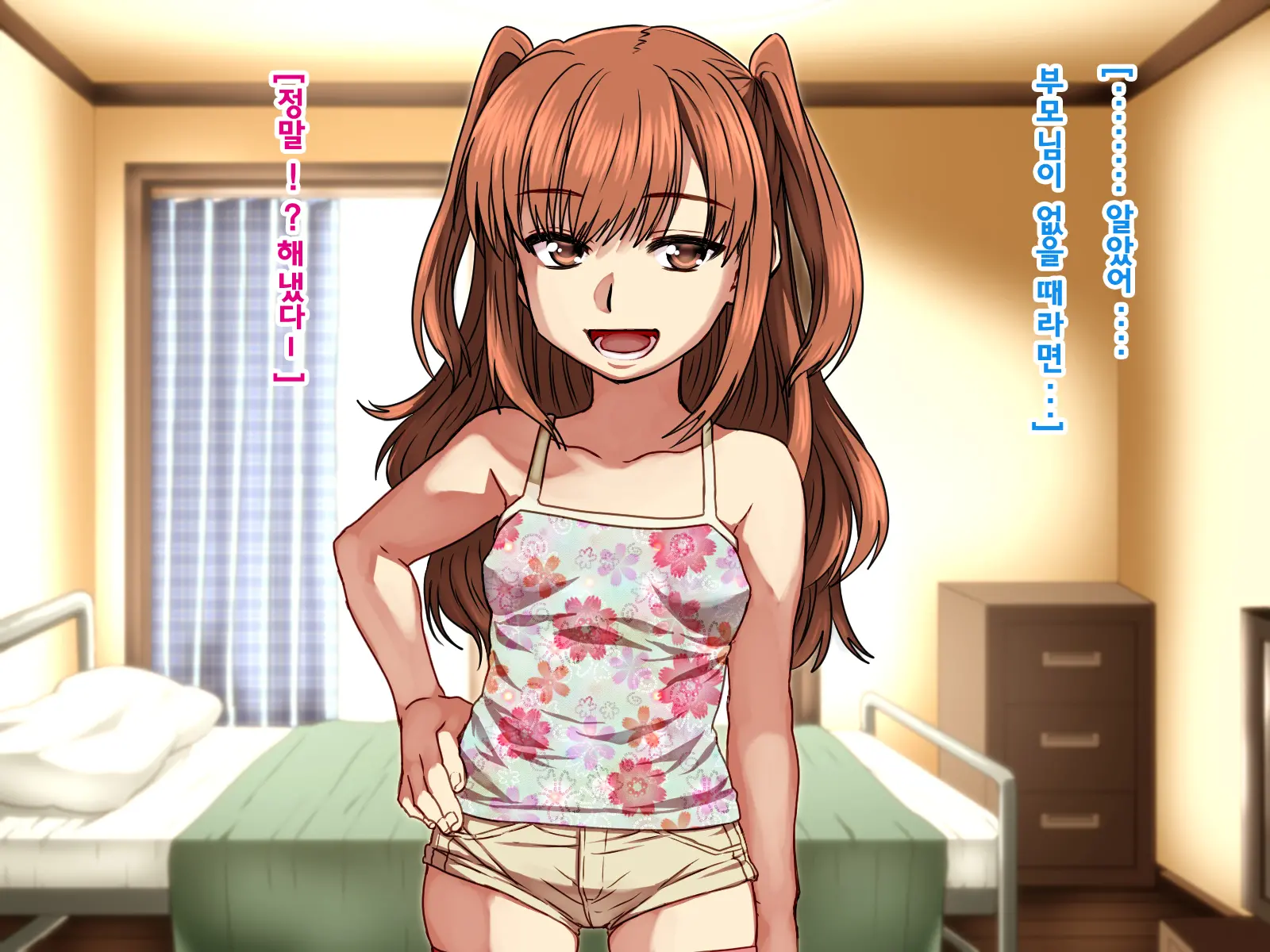 Seiteki Ni Baka Na Imouto O Mamoru Tame Ni